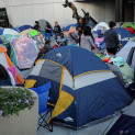 Occupy Twilight