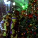 We wish you a Turtle Christmas